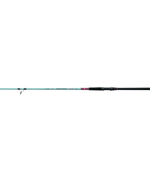Daiwa TD Surf Spinning Rod 10ft Medium Heavy 2 Piece